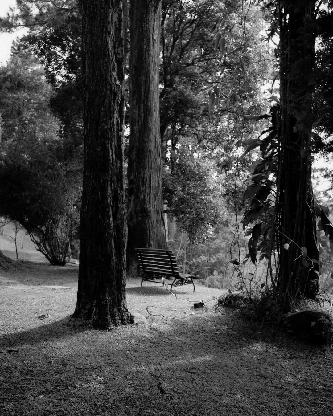 solitude
