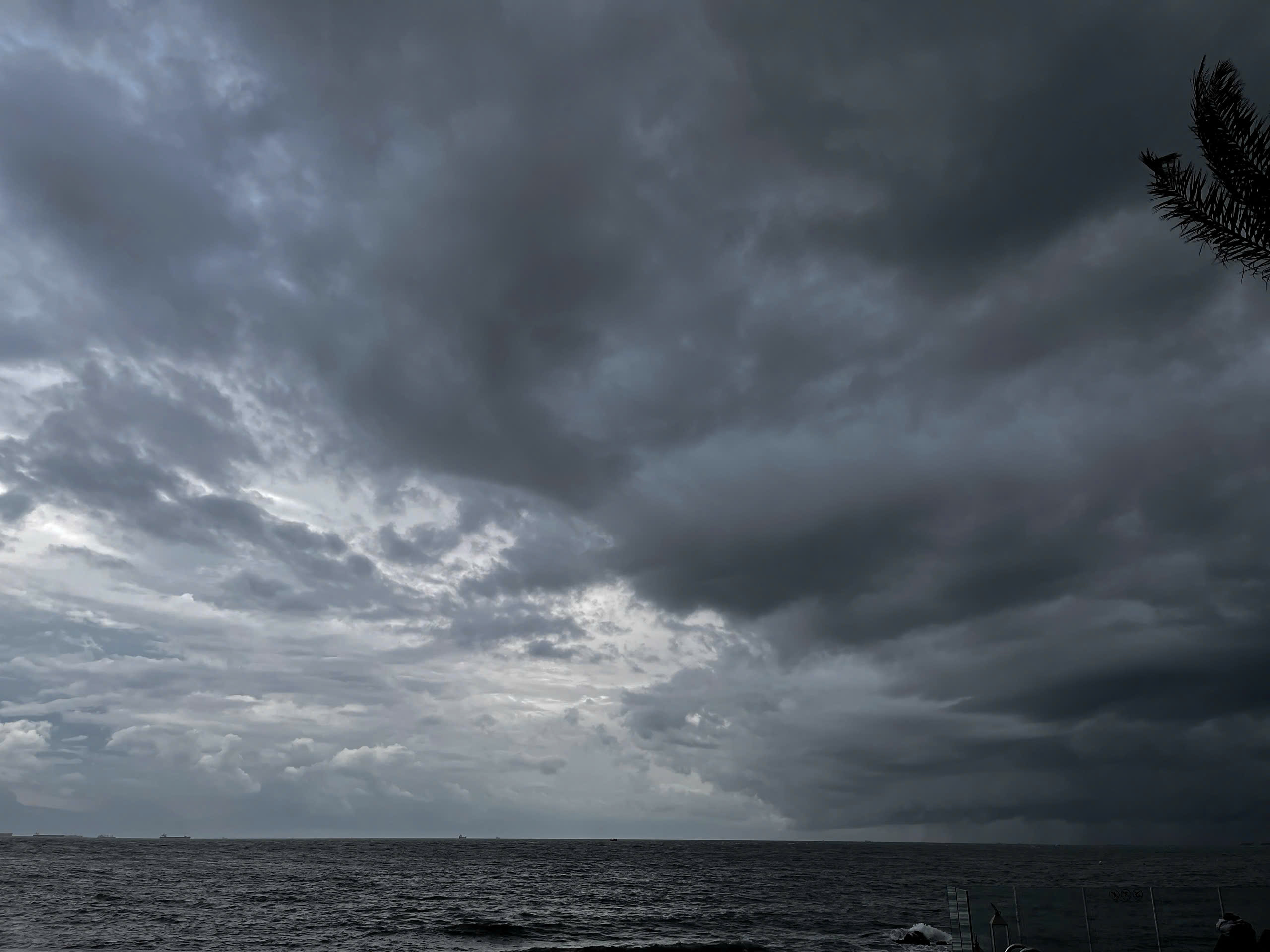 Dark Landscape