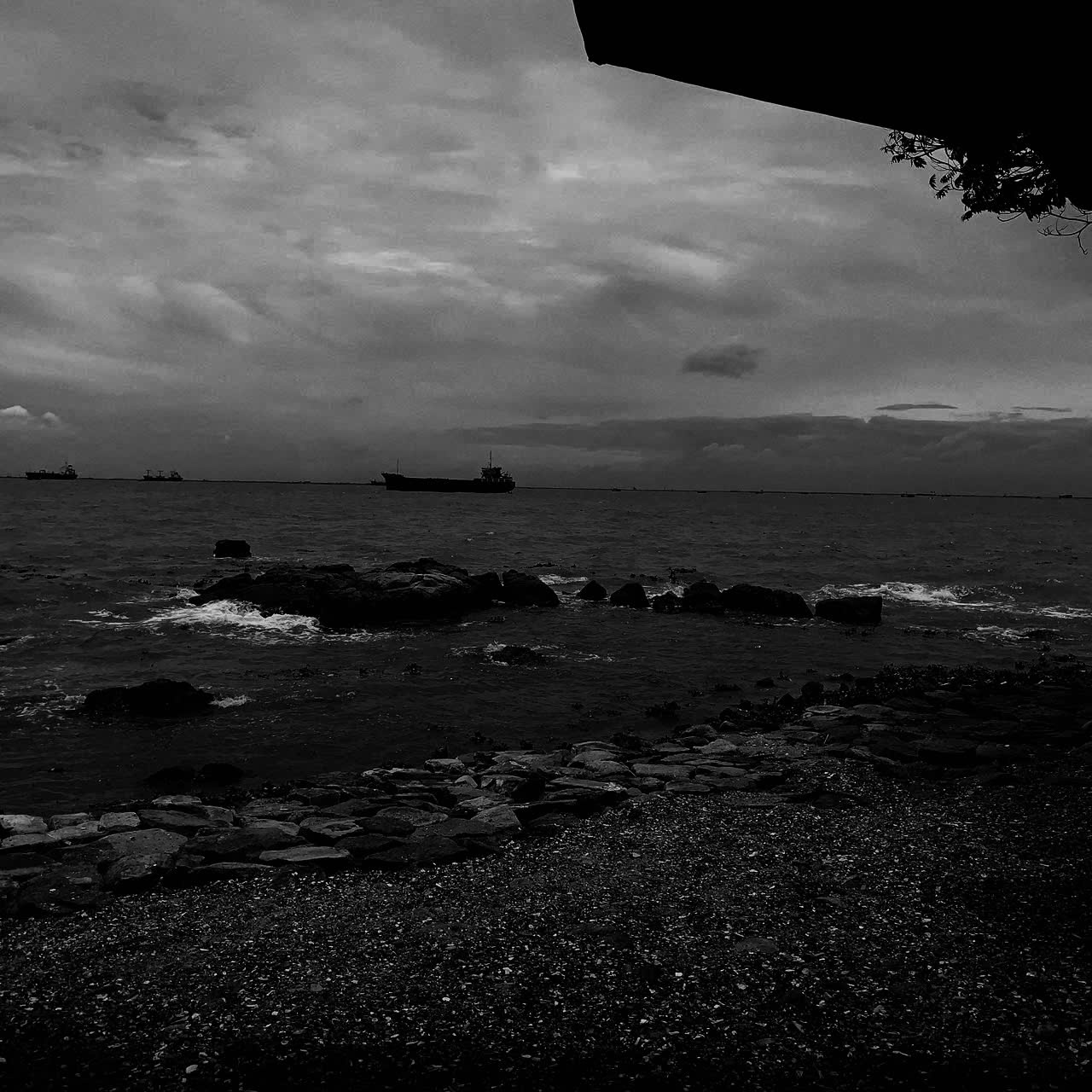 Dark Landscape